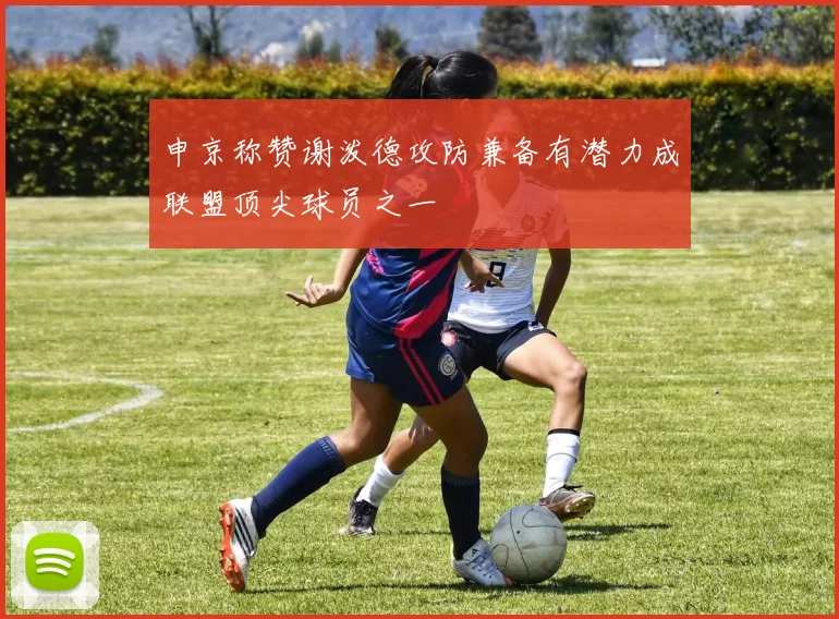 申京称赞谢泼德攻防兼备有潜力成联盟顶尖球员之一