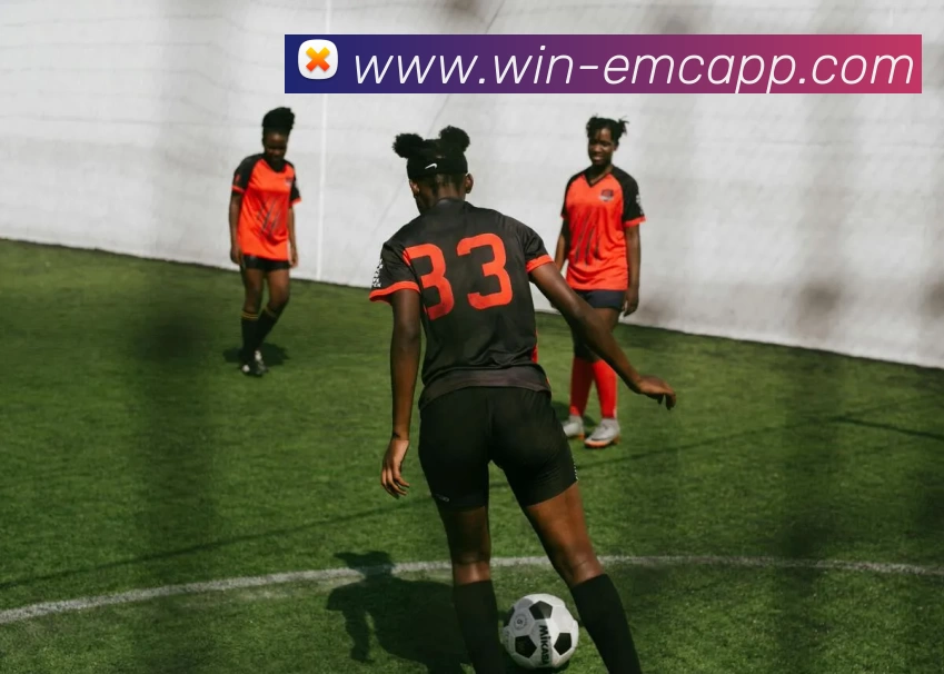 易倍体育APP 封面图